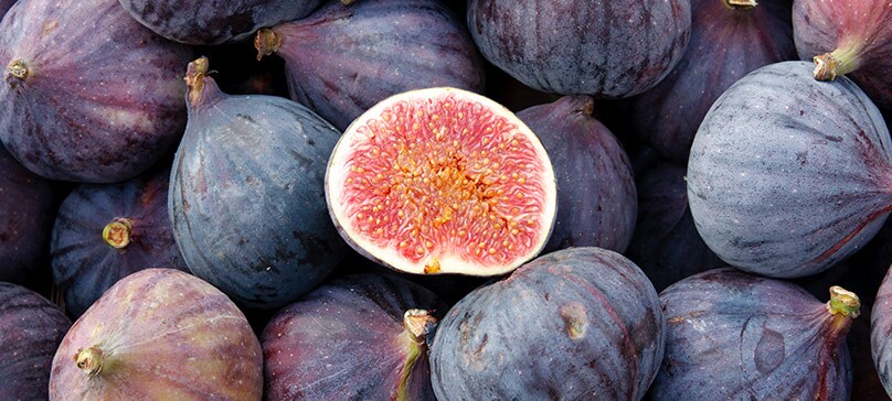 Fig Season: All About this Nutritious Fruit Fig Season: All About this Nutritious Fruit