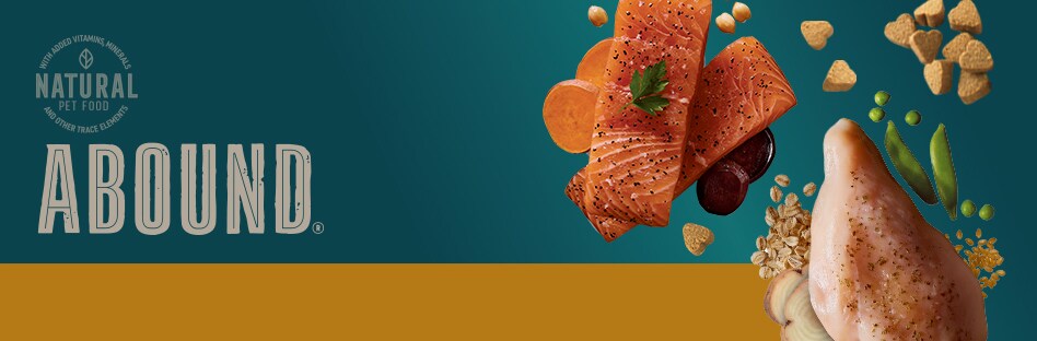 Abound natural dog food cheap