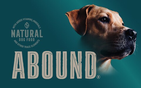 Abound Natural Dog Food Cat Food Treats More Foods Co