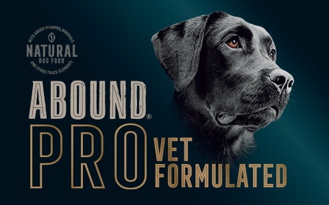 Abound small breed dog sale food