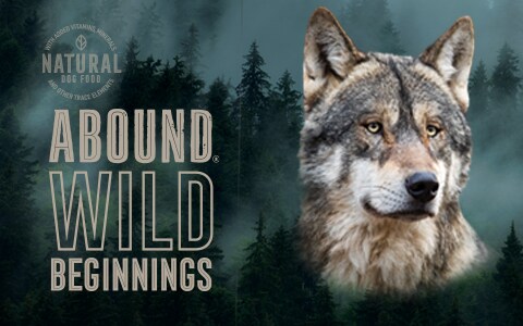 Abound cat hot sale food online
