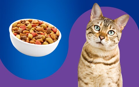 Pet Pride Dog Food Cat Food Treats Toys Kroger Foods Co