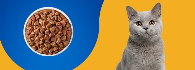 Pet pride cat food hot sale