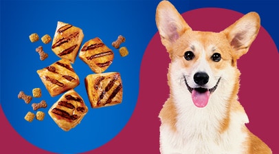 Pride dog food near me best sale