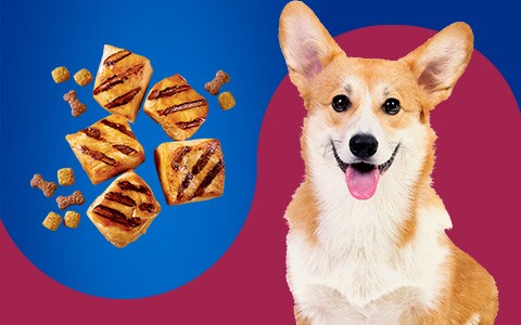 Pet pride dog food walmart store