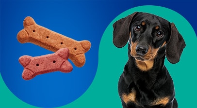 Pet Pride Dog Food Cat Food Treats Toys Kroger Foods Co