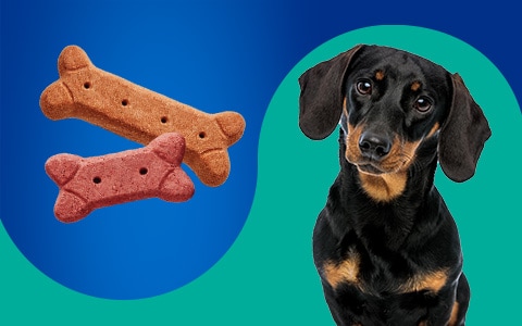 Pet Pride Dog Food Cat Food Treats Toys Kroger Foods Co