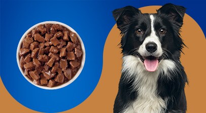Kroger pet pride dog food online