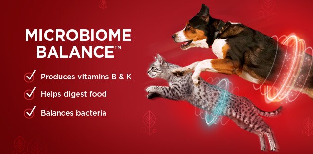 Microbiome Balance Microbiome Balance