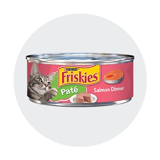 Pet Shop Cat Food