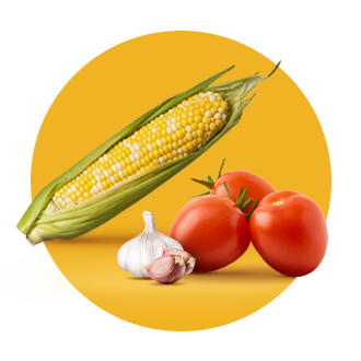 Shop Fresh Produce