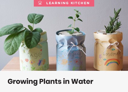 Learning Kitchen