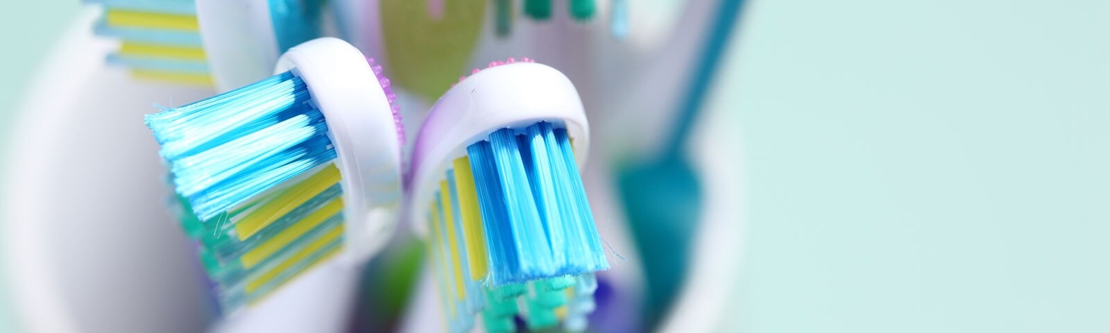 A close up shot of a cup filled with toothbrushes A close up shot of a cup filled with toothbrushes