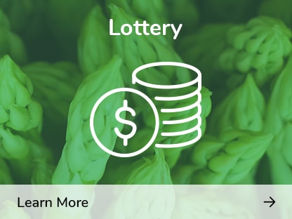 Lottery