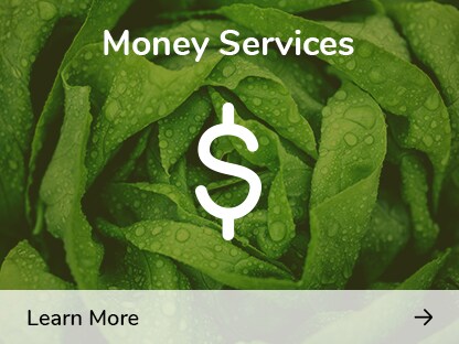 Money Services Espot